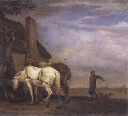 POTTER, Paulus Two Drafthorses in Front of a Cottage (mk05) oil painting picture wholesale
